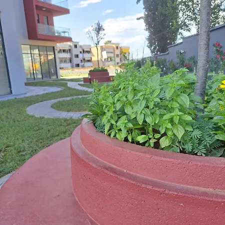 Tetris * Τίρανα