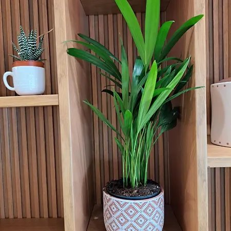 Apartamento Tetris Tirana