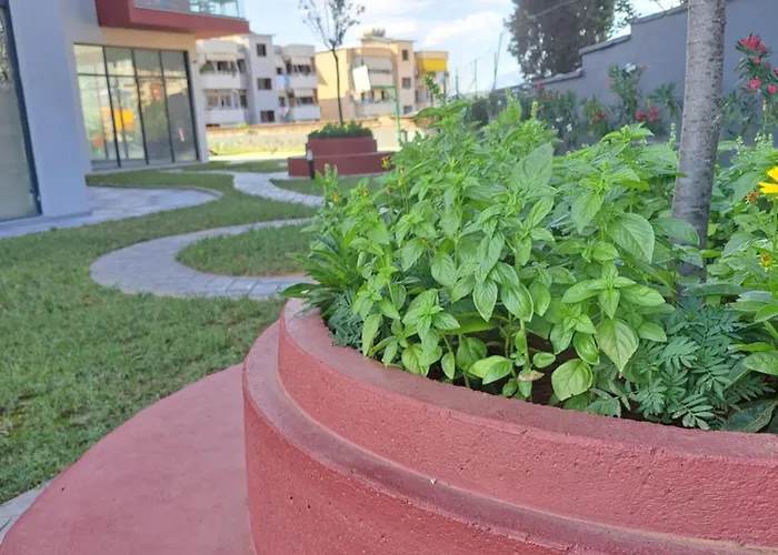 Tetris * Тирана