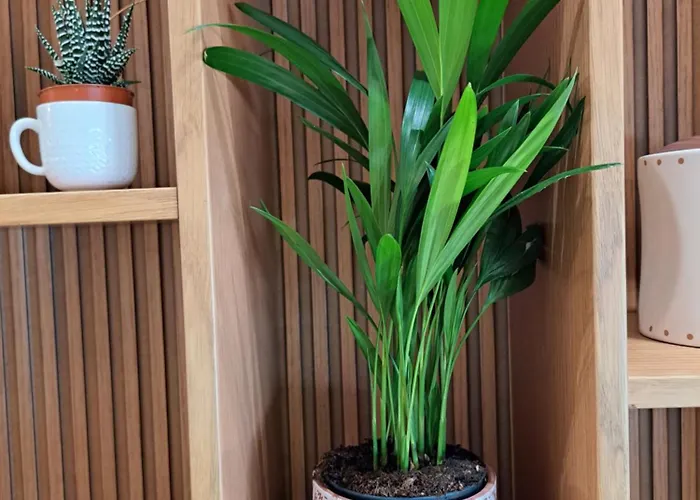 公寓 Tetris 地拉那